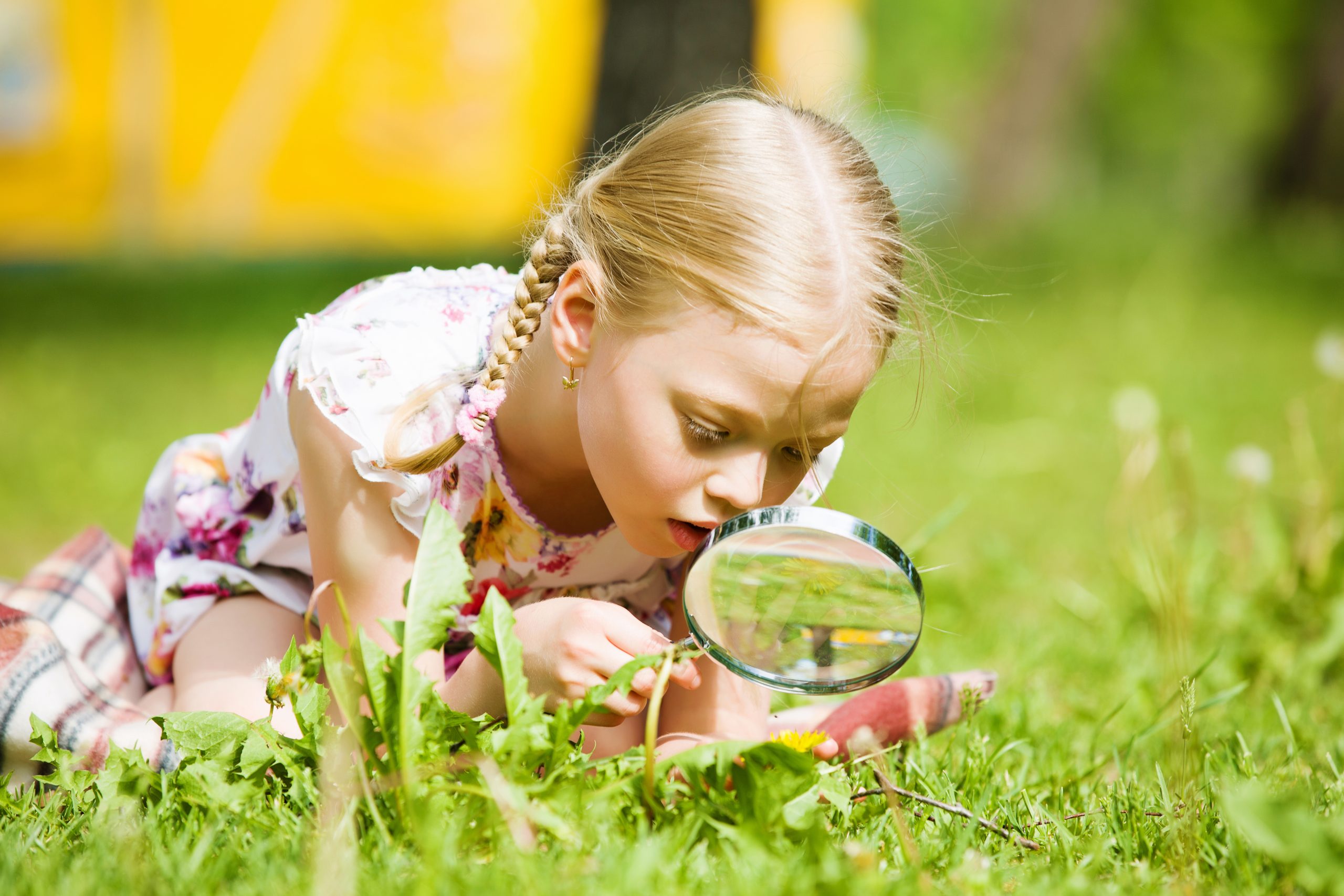 Дети очень любознательны. Дети и природа. Девочка с лупой в траве. Любознательный ребенок. Изучение природы.